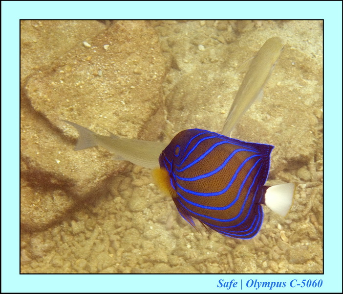 2006 - 07 - Gemia - Plongee solo 02